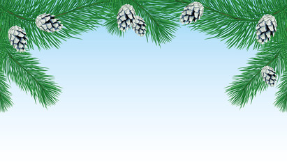 Pine branches with cones on a blue background.