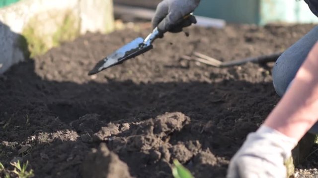 Frau gr&auml;bt mit kleiner Schaufel im Beet