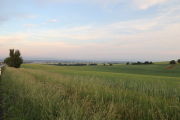 Nature, photo Czech republic, Europe
