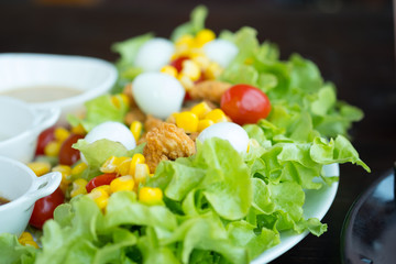 Fresh salad with green oak lettuce food organic vegetable