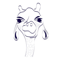 beautiful paint painted black and white giraffe