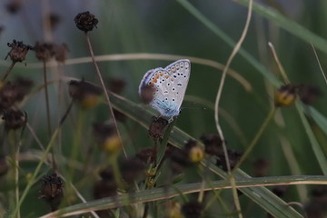 Nature, photo Czech republic, Europe
