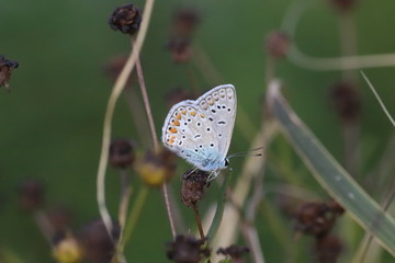 Nature, photo Czech republic, Europe