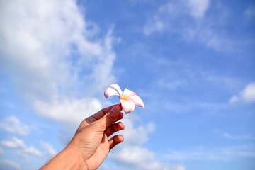 Hand holding flower at sea blue sky background