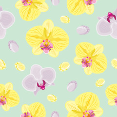 Seamless pattern with blooming orchids