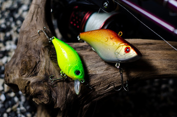 Close-up of plugs (fishing). Plugs are a popular type of hard-bodied fishing lure.