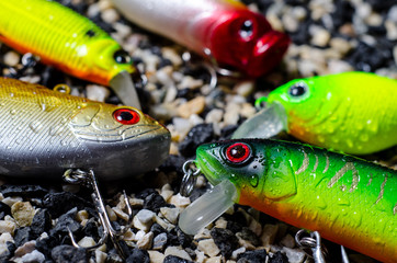 Close-up of plugs (fishing). Plugs are a popular type of hard-bodied fishing lure.