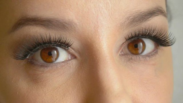Woman's face with long false lashes opens her brown eyes and looks at camera. Closeup handsome female model with cute makeup