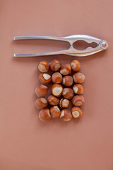 square arrangement of hazelnuts with cracker on brown base