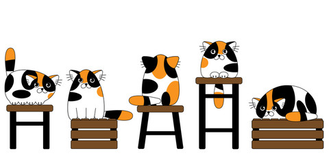 Cartoon cute colorful cats seamless pattern