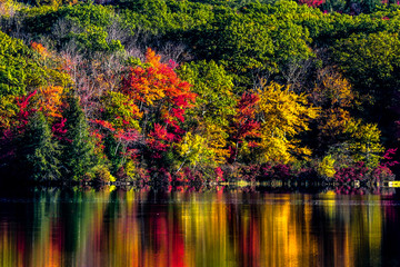SHARON CT USA. Fall colors on Calkinstown Road.