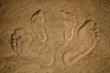 Fototapeta na wymiar top view of different sizes of footprints on the sand