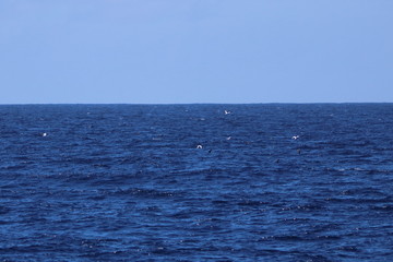 Fototapeta premium seychelles