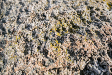 Stones on closer inspection. The surface of the stones.