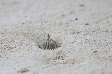 seychelles beach