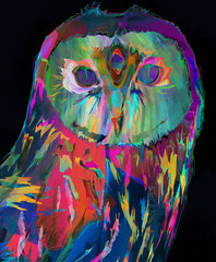 Owl Illustration