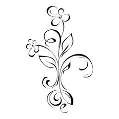 decorative ornament with flowers, leaves and curls in black lines on white background