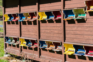 detail of a bee house with many colorful stocked bee hives
