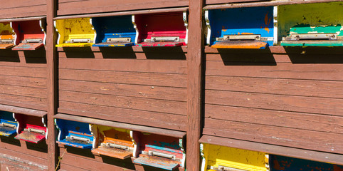 detail of a bee house with many colorful stocked bee hives