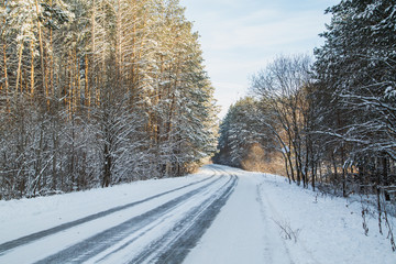 Obraz premium road in the winter pine forest