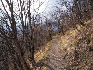 Path leading to the top of the mount Rachet in the Chartreuse mountain