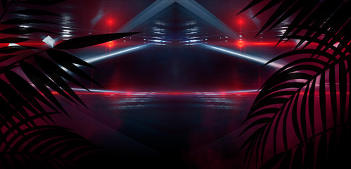 ackground of the dark room, tunnel, corridor, neon light, lamps, tropical leaves. Abstract background with new light.