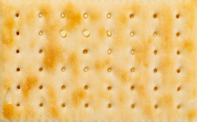 sandwich biscuits as background and texture