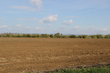 Obraz premium Nature of sring, Czech republic, Europe