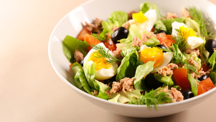mixed vegetable salad with egg, tuna and tomato
