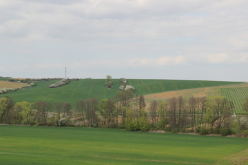 Fototapeta na wymiar Spring in nature. Photo Czech republic, Europe