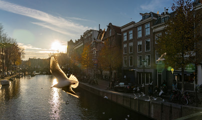 Once upon a time, in Amsterdam...