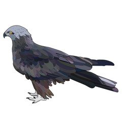 vector eagle