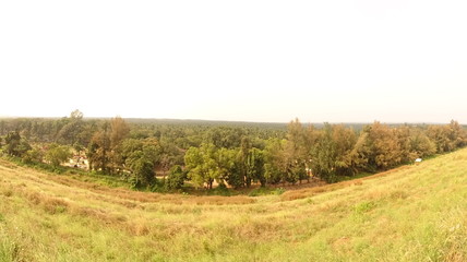 Fototapeta premium road in the field