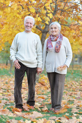 Portrait of happy senior couple in autumn park