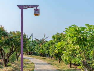 Street lights in the Confucius Cultural city of Suixi