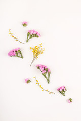 Flowers on a white background - hello spring and hello summer