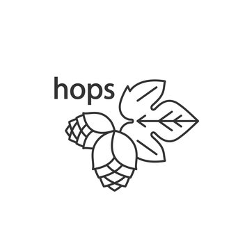 Hops and leaf. A simple icon. Vector outline drawing for a brewery, beer, cosmetics.