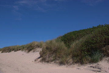 Dunes with a Blue Sky