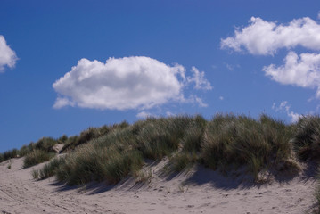 Dunes with a Cloudy Sky