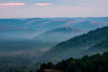 Pine forest is a valley shrouded in fog in the rays of dawn. Muradymovsky gorge