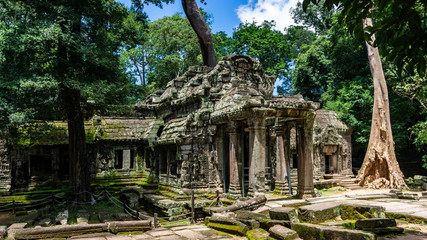 Fototapeta premium ta prohm temple in angkor cambodia