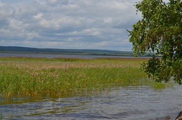 Summer stories. Lake in the forest.