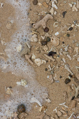Crushed coral stone on the beach