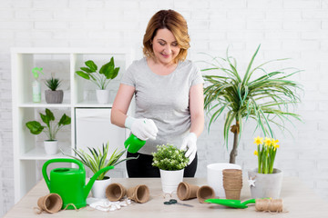 spring concept - mature female gardener planting flowers in pots at home