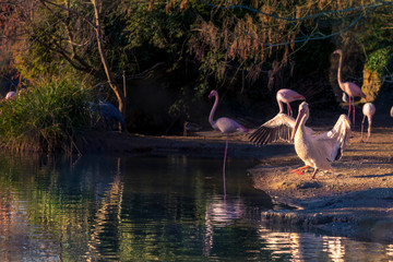 Parc de la T&ecirc;te d'Or, Lyon