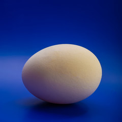 white egg on a blue background.