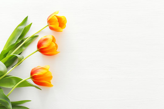 bouquet of orange tulips over pastel white wooden background. Top view