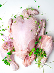 organic raw whole chicken on white background with microgreens herbs