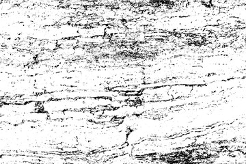 Abstract background, old tree bark surface. Vector wood texture.