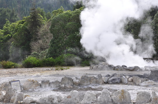 Furnas A&ccedil;ores . Vapor